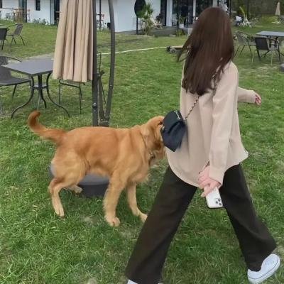 潜水泵
